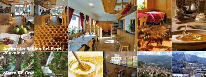 Hotel Agritur La Regina Dei Prati | BP Gryf Cavalese oferty BP Gryf hotel na stoku
